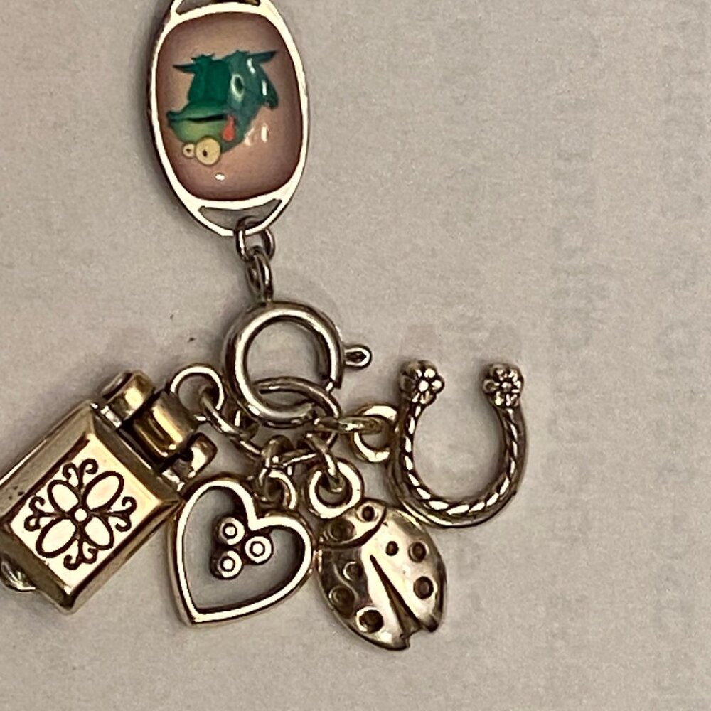 Authentic Brighton set of charms - heart, horseshoe, ladybug, locket, frog? EUC
